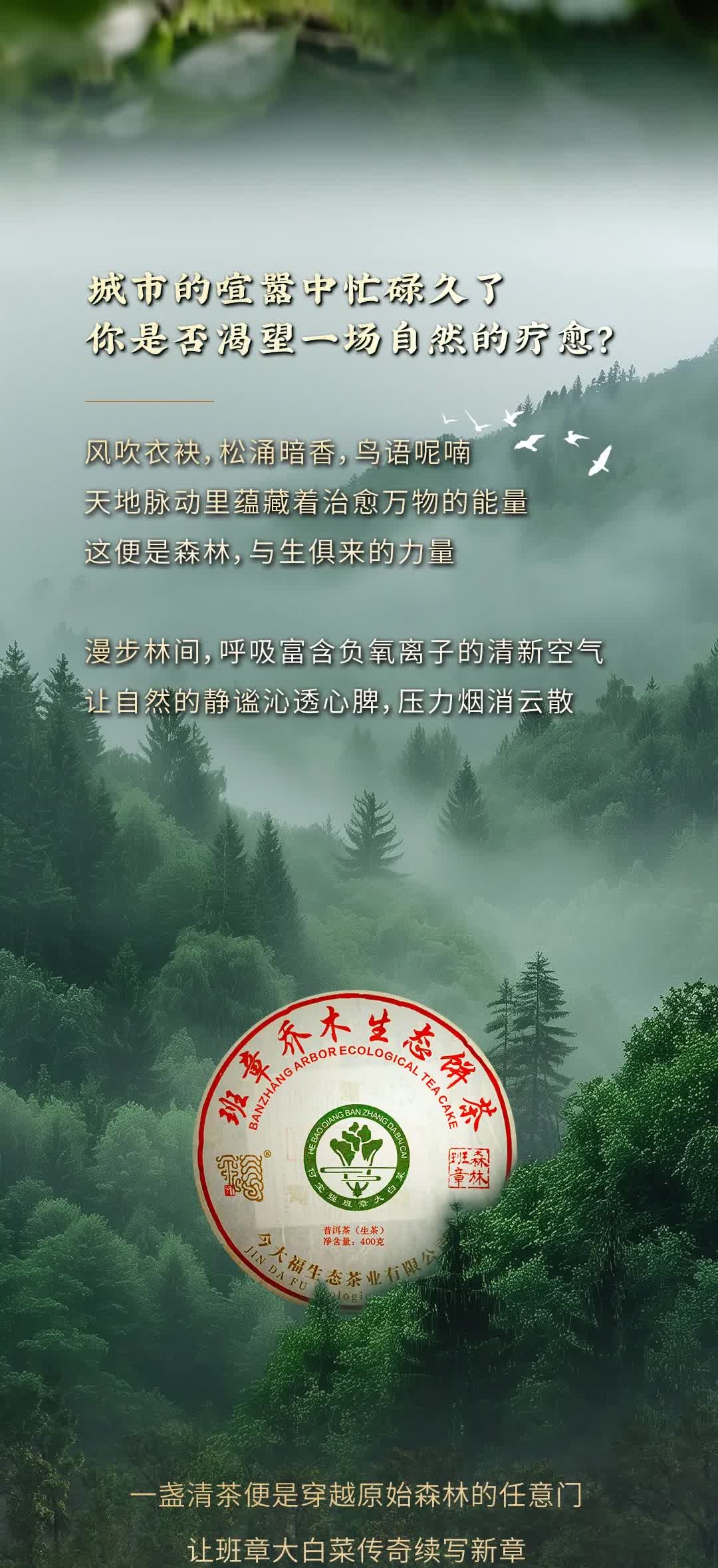 今大福2025年森林班章青餅” /><br /> </span> </p><p class=