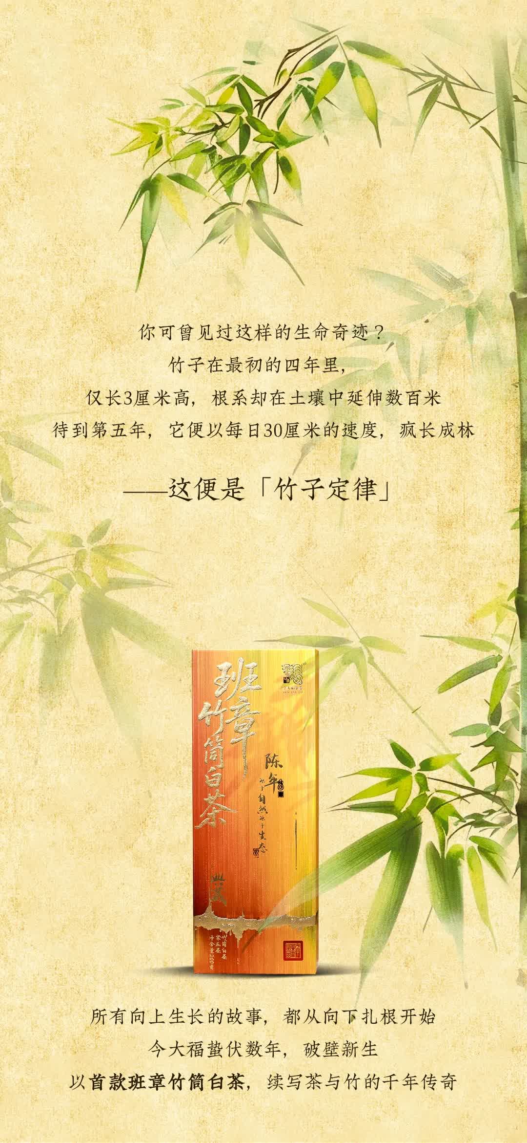 今大福2025年班章竹筒白茶” /><br /> </span> </p><p class=