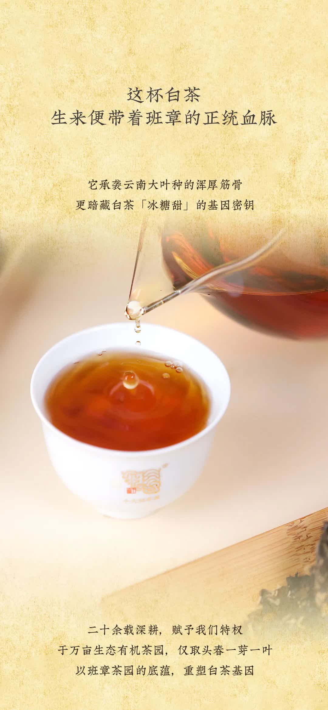 今大福2025年班章竹筒白茶” /><br /> </span> </p><p class=